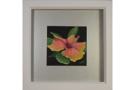 Hibiscus Miniature pastel painting Hibiscus Miniature pastel painting