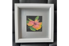 Hibiscus Miniature pastel painting