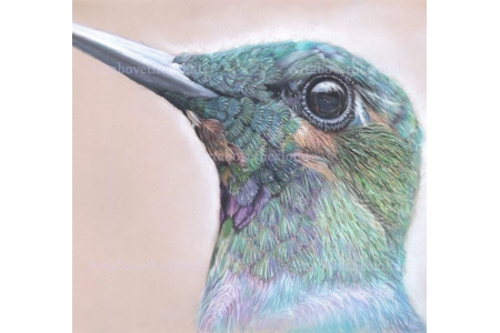 Card Window of My Soul