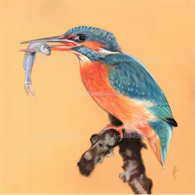 King of Fishers