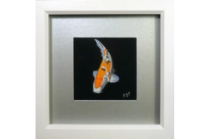 Koi Miniature