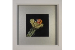 Fly away home Miniature