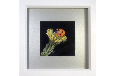 Fly away home Miniature