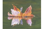 Leaf Reflection 2
