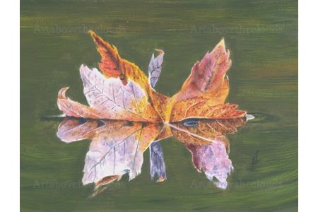 Leaf Reflection 2