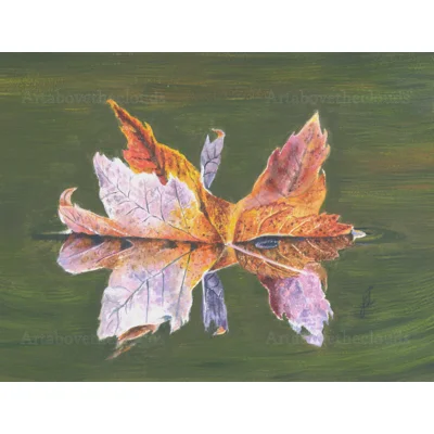 Leaf Reflection 2