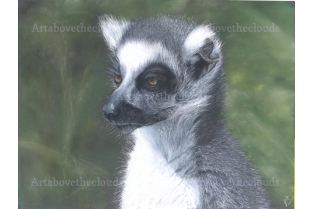 Sittin' in the Mornin' Sun.  Original Pastel Painting