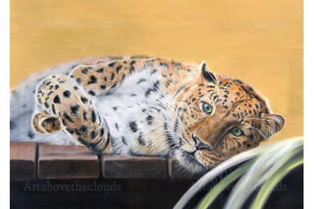 Lazing on a Sunny Afternoon original Oil on Paper