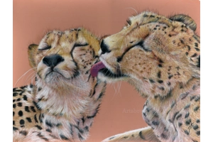 Loves First Lick Print