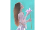 Lotus Blossom Lotus Blossom