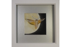 Moth Moon Miniature pastel p..