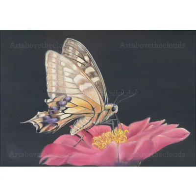 Mutualism 2 Print