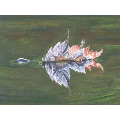 Leaf Reflection 1