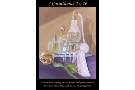 Aroma Of A Paradox Poster