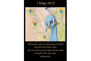 King Solomons Peacock Poster