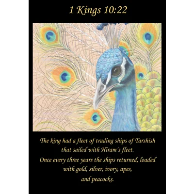 King Solomons Peacock Poster