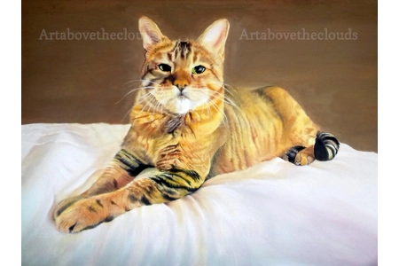 Rocco Pet Commission