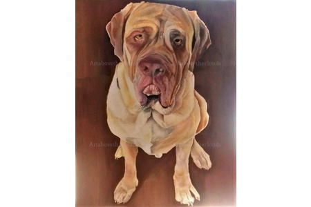 Samson. Pet Commission