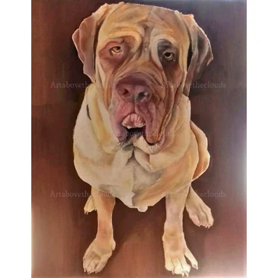 Samson. Pet Commission