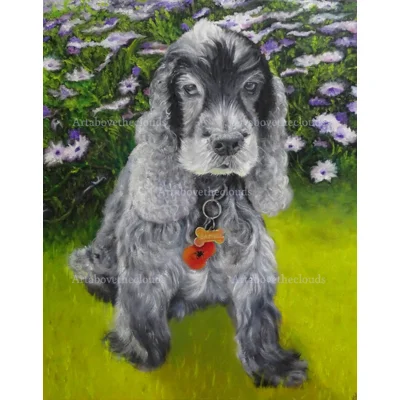 Samuel Pet Commission