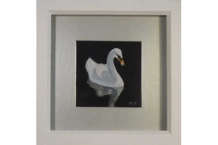 Me a Swan?  Miniature