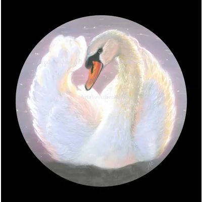 Swanning Around