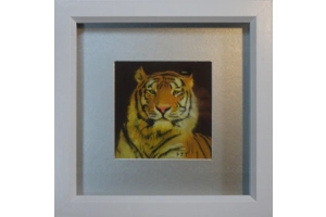 Tiger Miniature pastel paint..