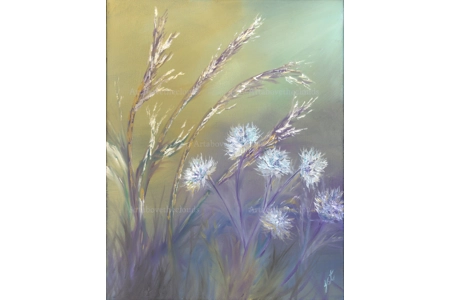 Wild Meadow Original Oil Painting