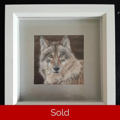 Mr Wolf