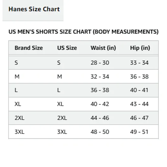 Mens Hanes Shorts