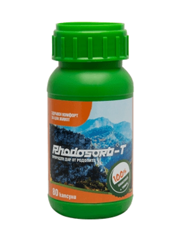 Rhodosorb - T Zeolite ultra fino + Timo 80 capsulas Rhodosorb - T Zeolite ultra fino + Timo 80 capsulas