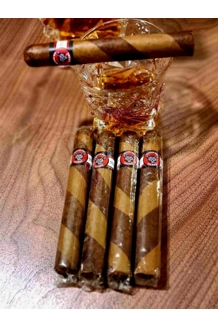 Region Rat - 5 Pack
