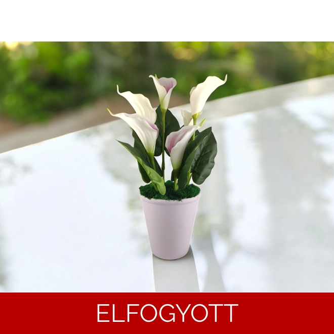 product Image for Mályva-fehér és krém színű kála kaspóban