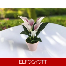 Fehér, mályva kála rózsaszín kaspóban KAL612MARS