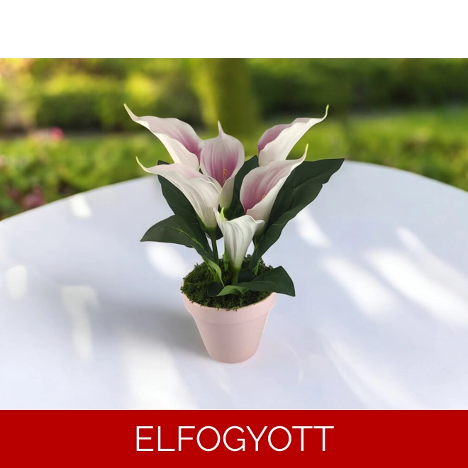 product Image for Fehér, mályva kála rózsaszín kaspóban KAL612MARS