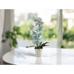 Halványkék nagyméretű orchidea OR117KE