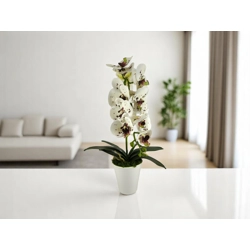Fehér burgundi pöttyös nagyméretű egyszálas élethű orchidea OR122FHBO