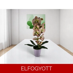 Mályva csíkos nagyméretű orchidea OR123MA