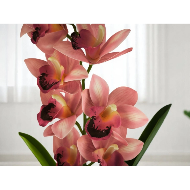 Additional Image for Élethű nagy méretű egyszálas élénk rózsaszín csónakorchidea ORC112PK