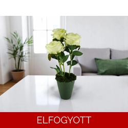Krémszínű bársonyrózsák kaspóban ROS319KR