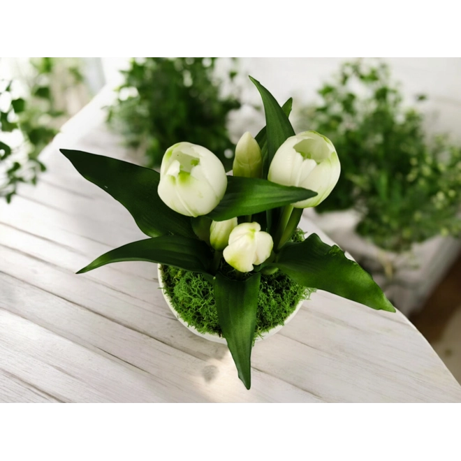 Additional Image for Élethű fehér tulipánok kaspóban TUE527FH