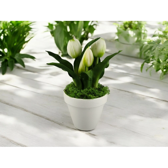 product Image for Élethű fehér tulipánok kaspóban TUE527FH