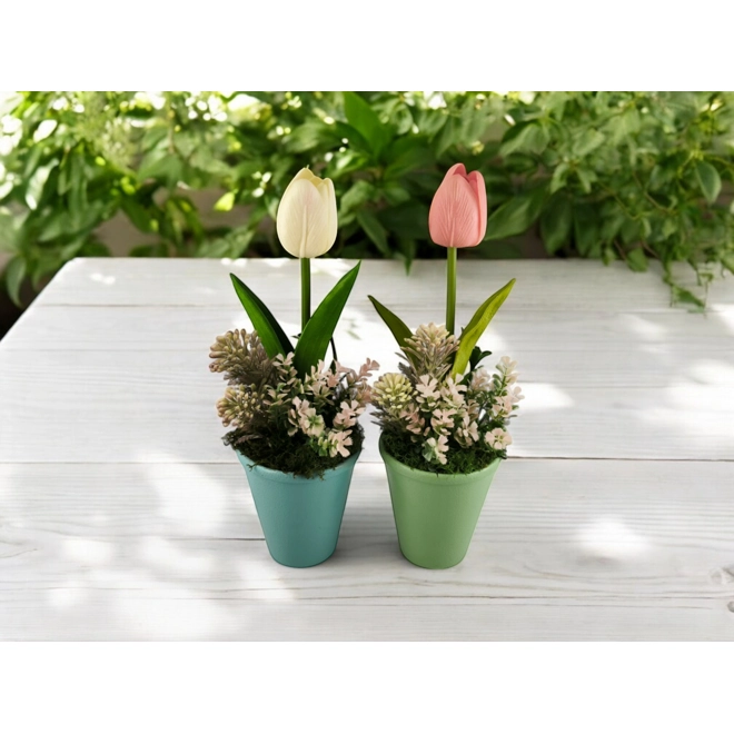 product Image for Tulipán tavaszi virágokkal véletlenszerű színben TUG0101K