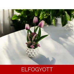 Lila cirmos tulipánok kerámiakaspóban TUG312LIFH