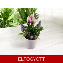 Lila cirmos tulipánok és gyöngyikék kaspóban TUG314LI