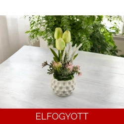 Zöldes krém tulipánok kerámiakaspóban TUG318KRZO