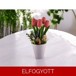 Piros tulipánok kaspóban TUG562PS