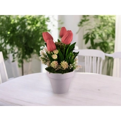 Piros tulipánok dús tavaszi virágágyon TUG563PS