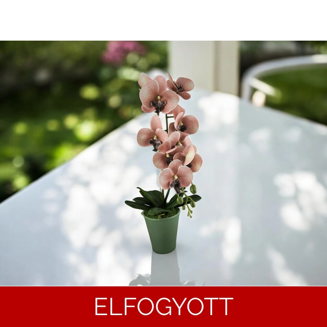 product Image for Mályva nagyméretű orchidea