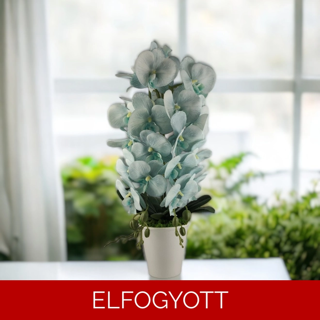 product Image for Nagyméretű kétszálas világoskék orchidea OR212KE